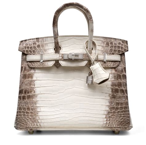 hermes birkin 25 himalayan price